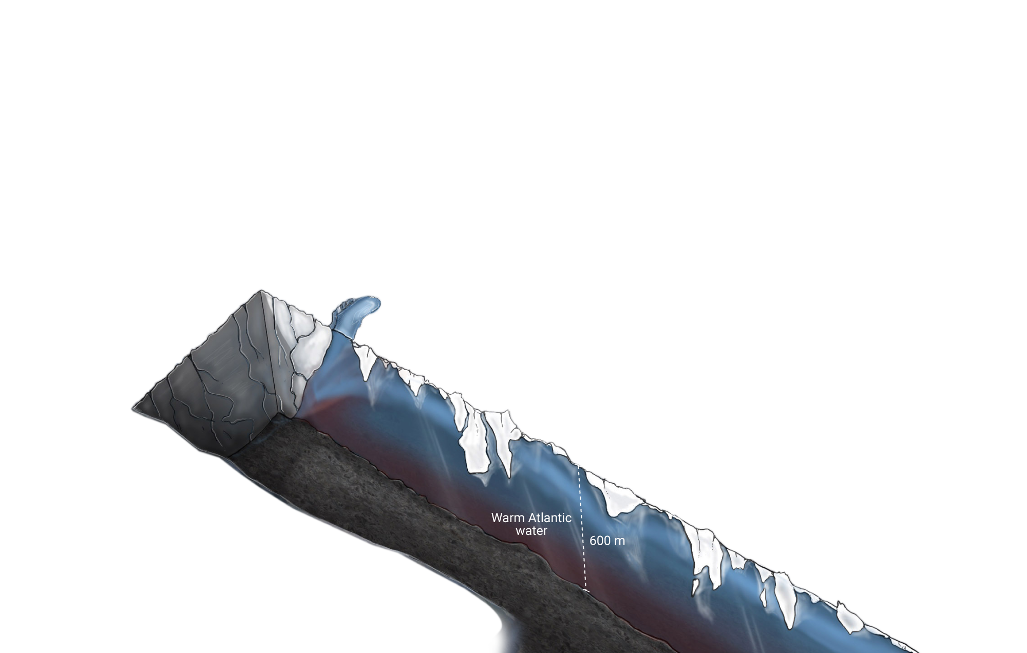 A cutaway showing underneath the surface of the fjord and glacier.  Under the sea ice on the fjord's surface, the water is about 600m deep, with a layer of warm Atlantic water at the bottom.