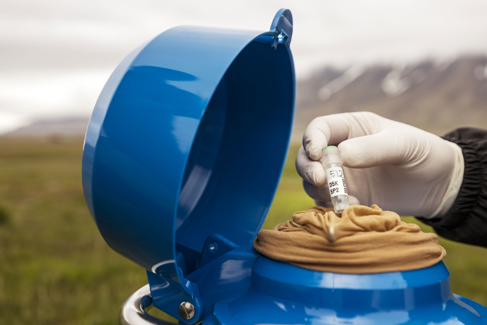 A latex-gloved hand placing a plastic sample tube into an insulated blue metal canister. The sample has a printed label and QR code, and an additional handwritten number.